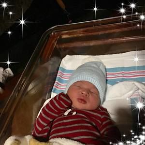 Meet your Posher, Elmer